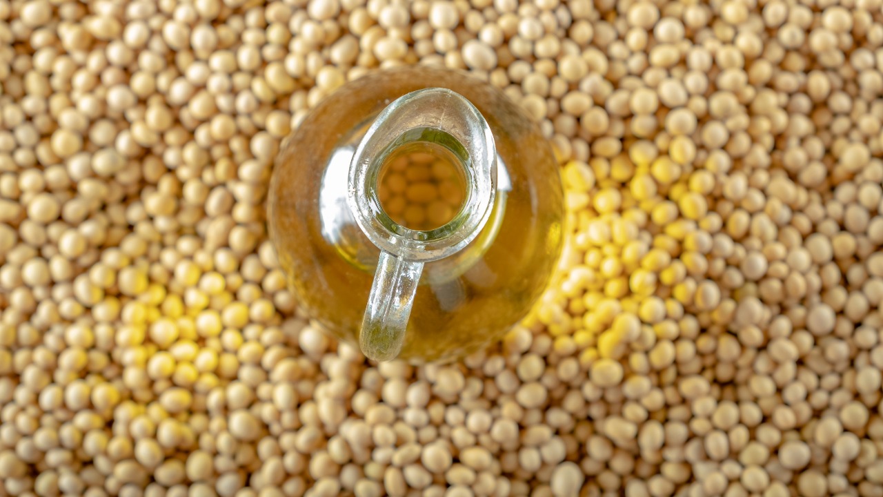 File oilseed crushing in China – Swine information