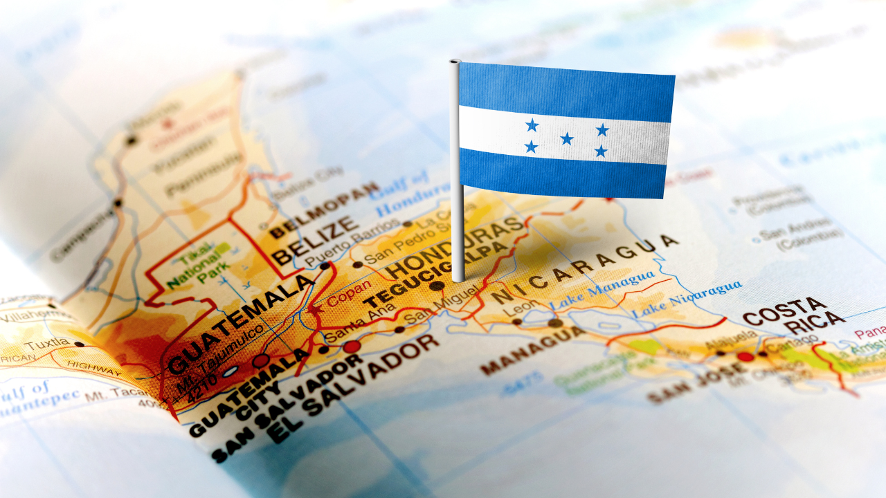 Honduras seeks global standing for classical swine fever – Swine information