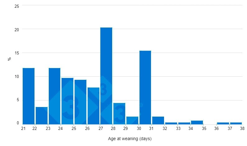 Figure&nbsp;1: Current weaning age (333 survey)
