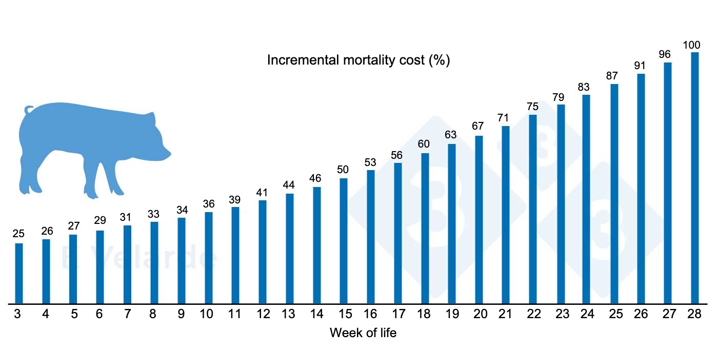 <p>Figure 1. Incremental cost of mortality by week of life. Source: Velarde (2023).</p>
