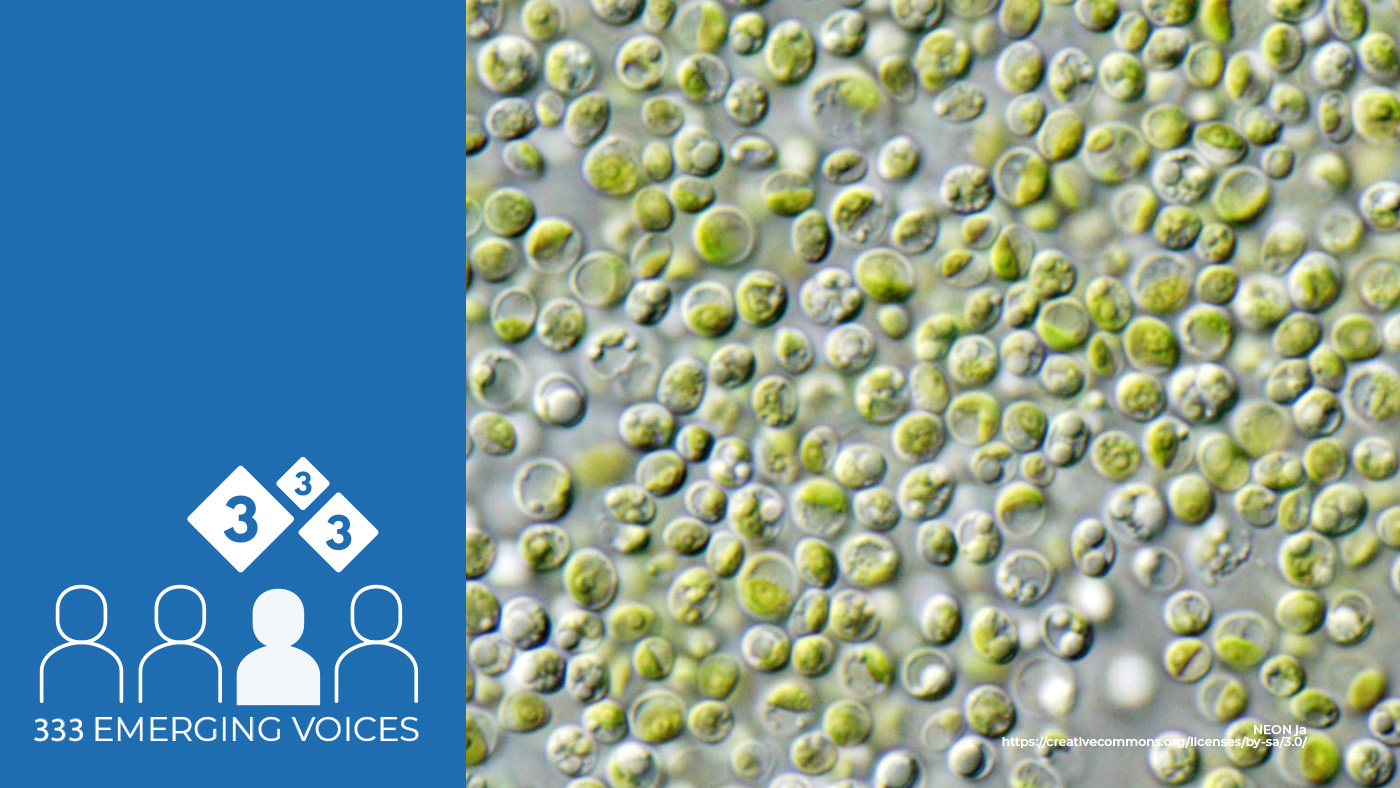 Microalgae as components in diets of weaned piglets, the use of enzymes – Swine abstracts