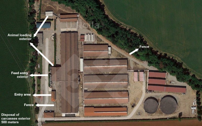 Figure 1. Aerial view of sow farm.