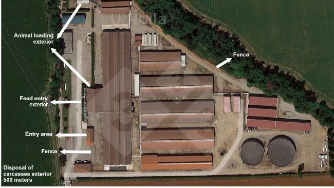 Figure 1. Aerial view of sow farm.