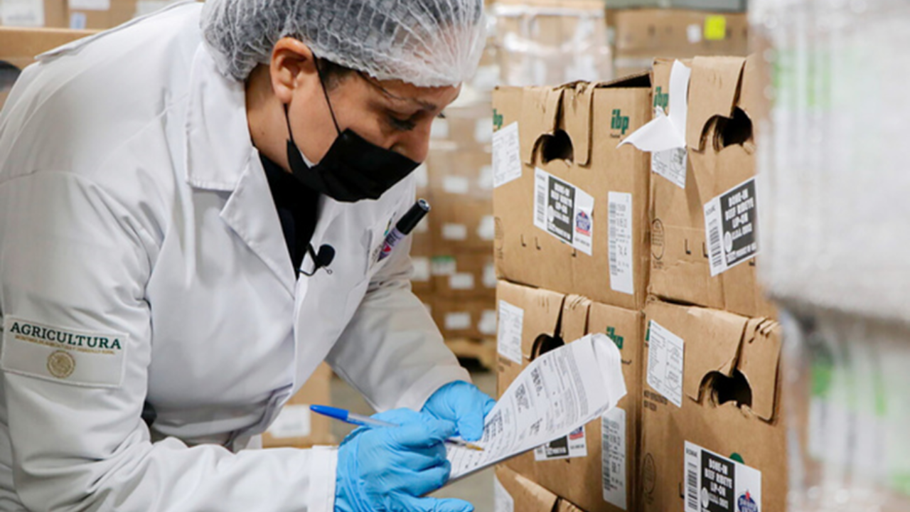 Mexico complements meat import with animal well being high quality password – Swine information