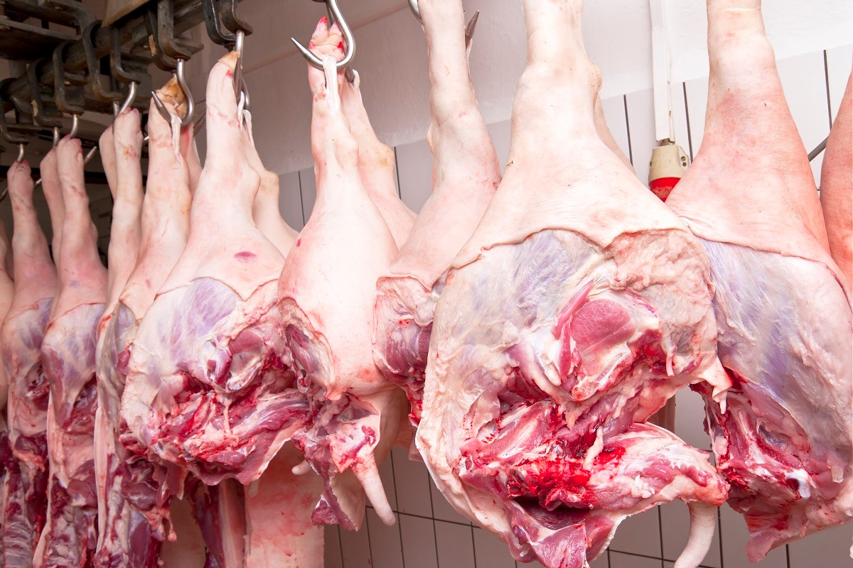 Russia doubles red meat exports to Vietnam – Swine information