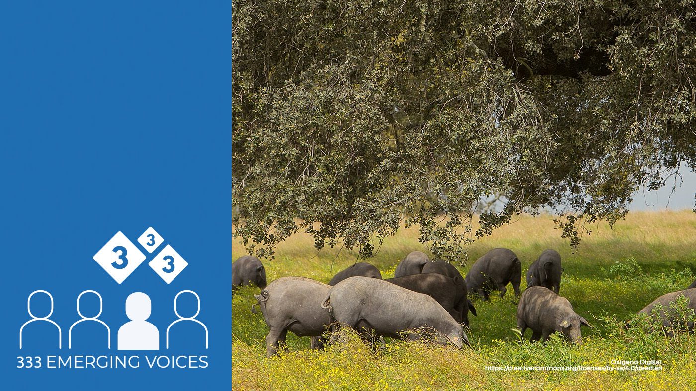 Biochemical learn about of various dietary prerequisites in Iberian pigs – Swine abstracts