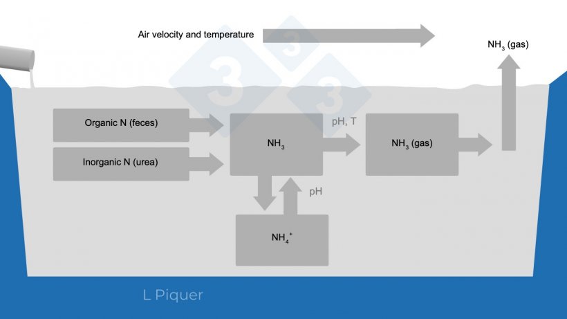 Figure 2.&nbsp;Ammonia (NH3) formation cycle during slurry storage.

