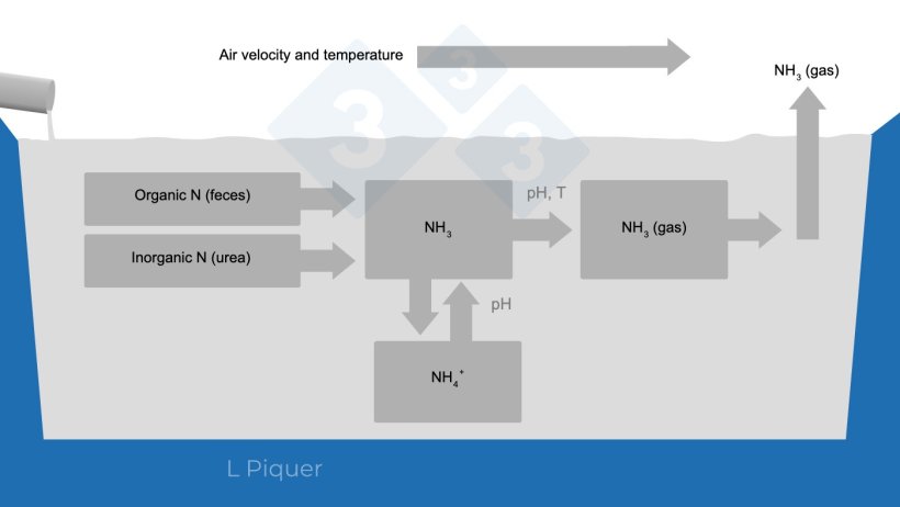 Figure 2. Ammonia (NH3) formation cycle during slurry storage.