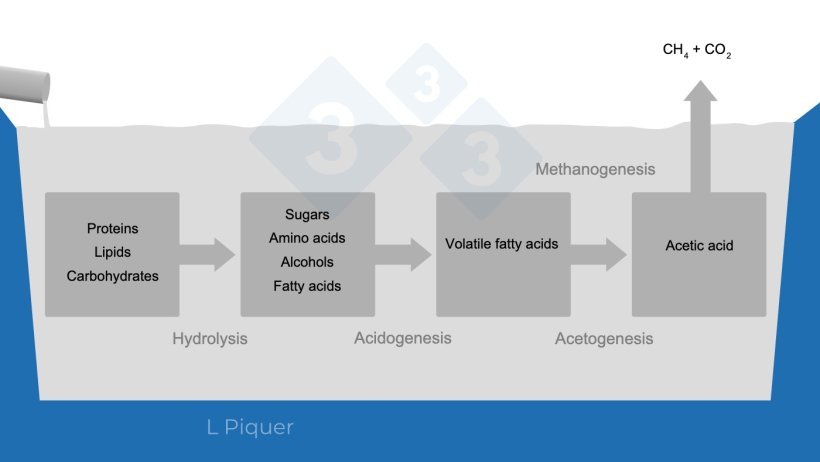 Figure 1. Methane (CH4) formation cycle during slurry storage.