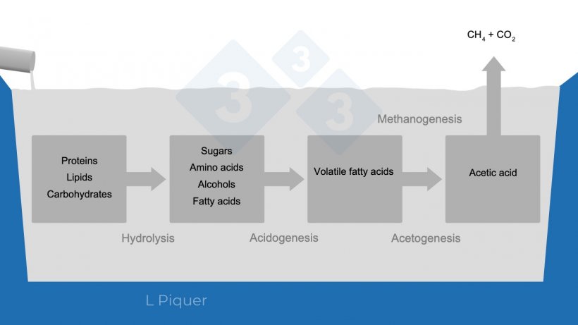 Figure 1.&nbsp;Methane (CH4) formation cycle during slurry storage.
