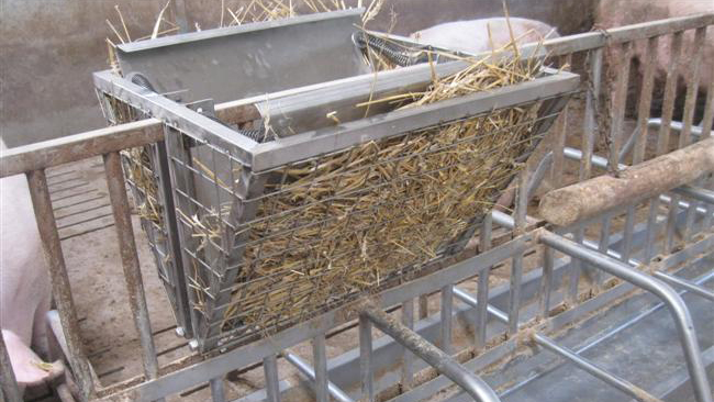 How one can strengthen straw dispensers for pigs – Articles