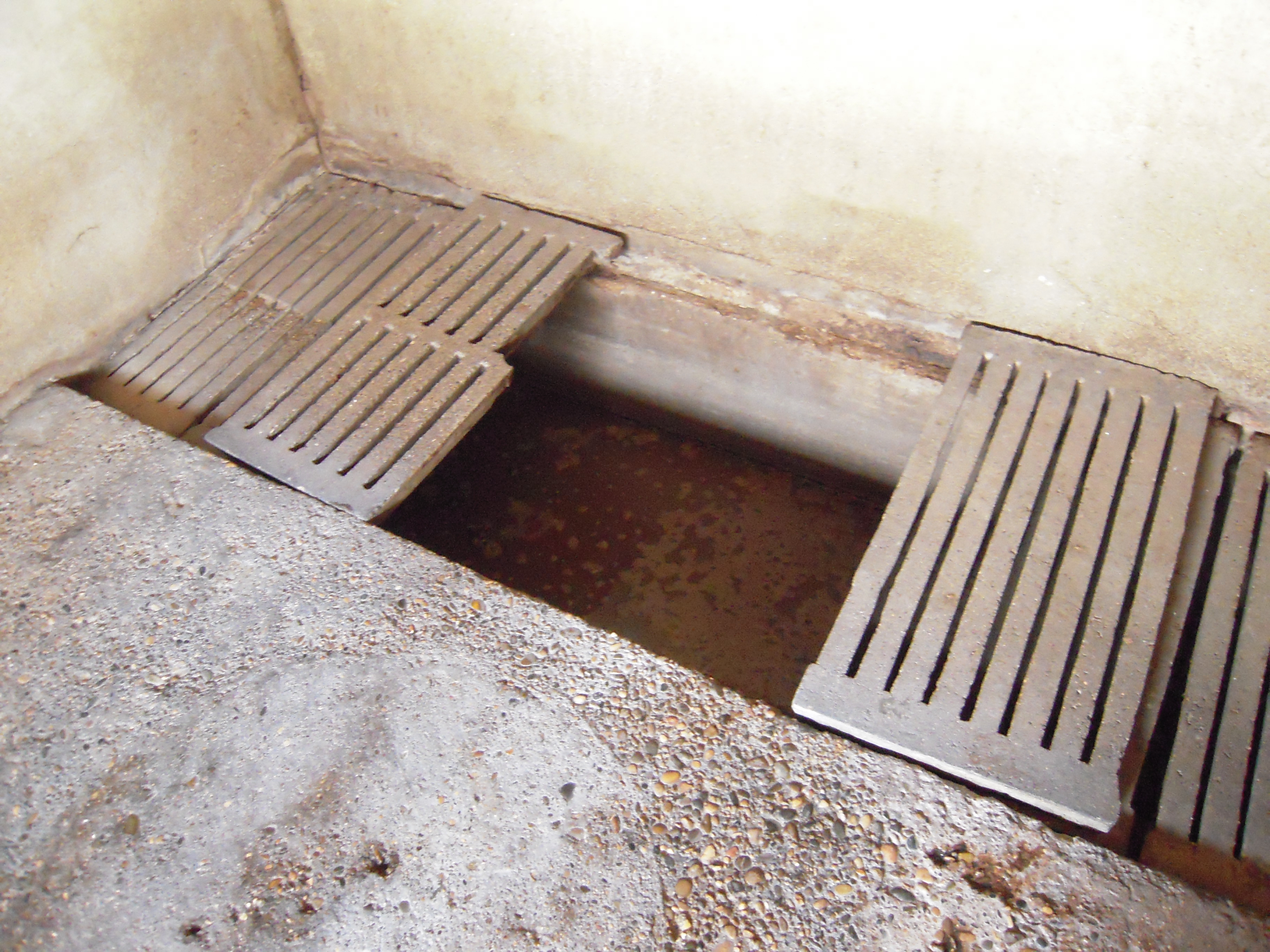 South Korea objectives to scale back greenhouse gasoline emissions from farm animals – Swine information