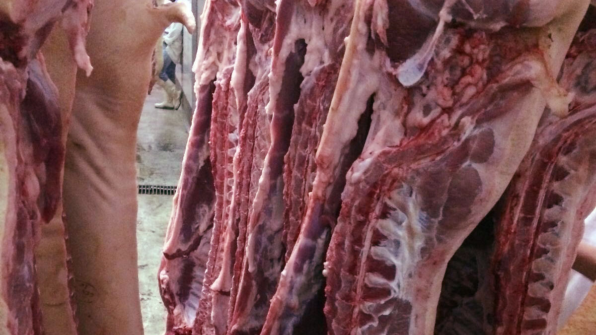 UK pig meat manufacturing at five-year low in 2023 – Swine information