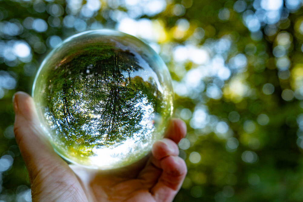 SBTi acclaim for HKScan’s near-term and land based totally local weather goals – Corporate information