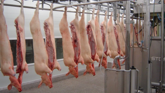 France sees lower in pig slaughter – Swine information