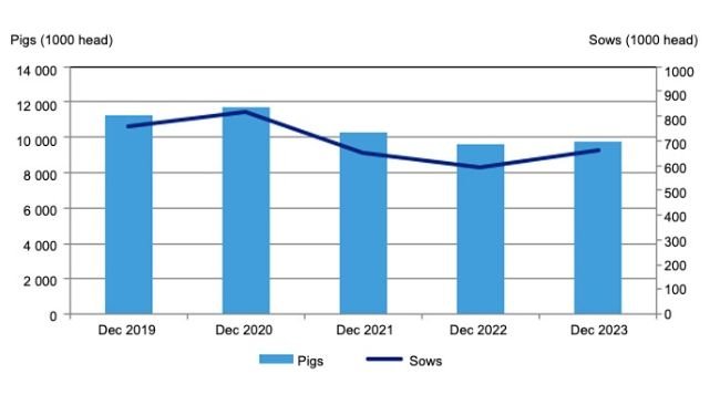 Pig inventory in 2019-2023. Source: Central Statistical Office.