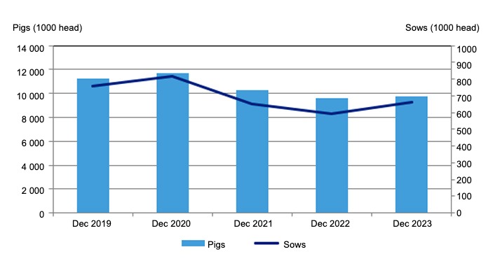 Pig inventory in 2019-2023. Source: Central Statistical Office.