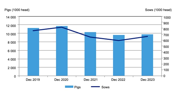 Pig inventory in 2019-2023. Source: Central Statistical Office.
