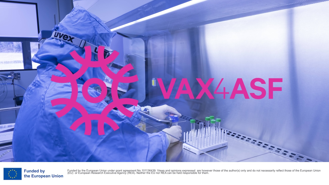 Eu VAX4ASF venture to check next-generation ASF vaccines – Corporate information