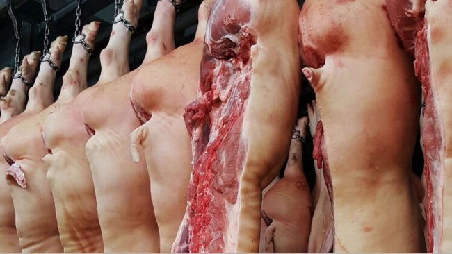 German meat manufacturing falls by means of 4% in 2023 – Swine information