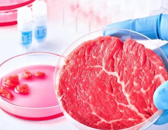 Alabama bans meals merchandise constituted of cultured animal cells – Swine information