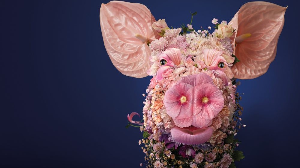 AB Vista companions with educational execs to offer newest fiber – Corporate information