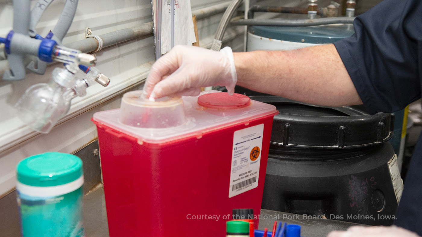 <p>Figure&nbsp;8. Sharps containers. Photo courtesy of National Pork Board, Des Moines, Iowa.</p>
