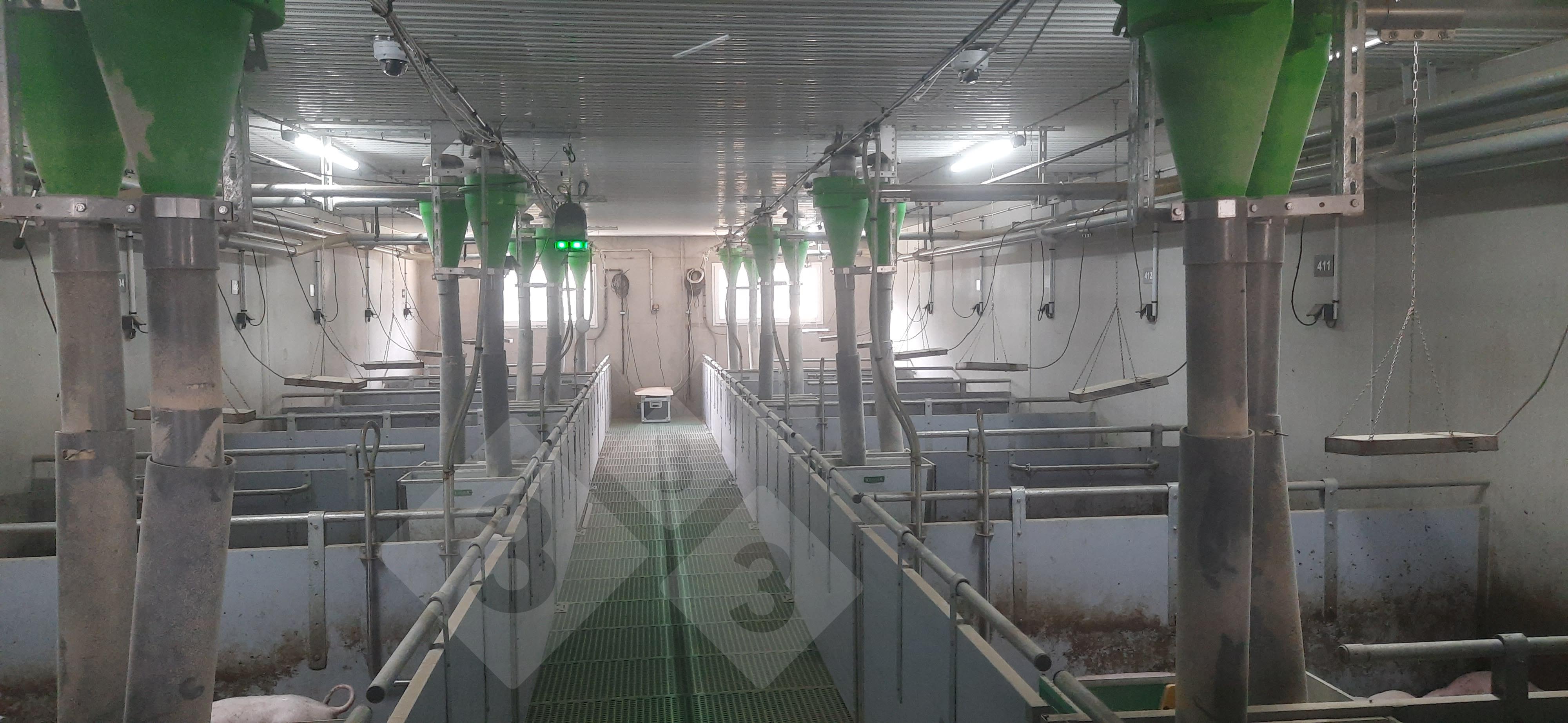 Seek advice from to the IFIP-Institut du Porc experimental swine station – Articles