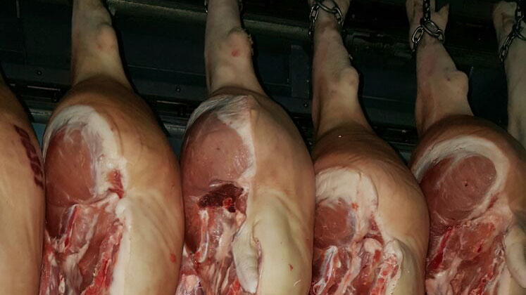 Forecast for Japan’s beef manufacturing and industry in 2024 – Swine information