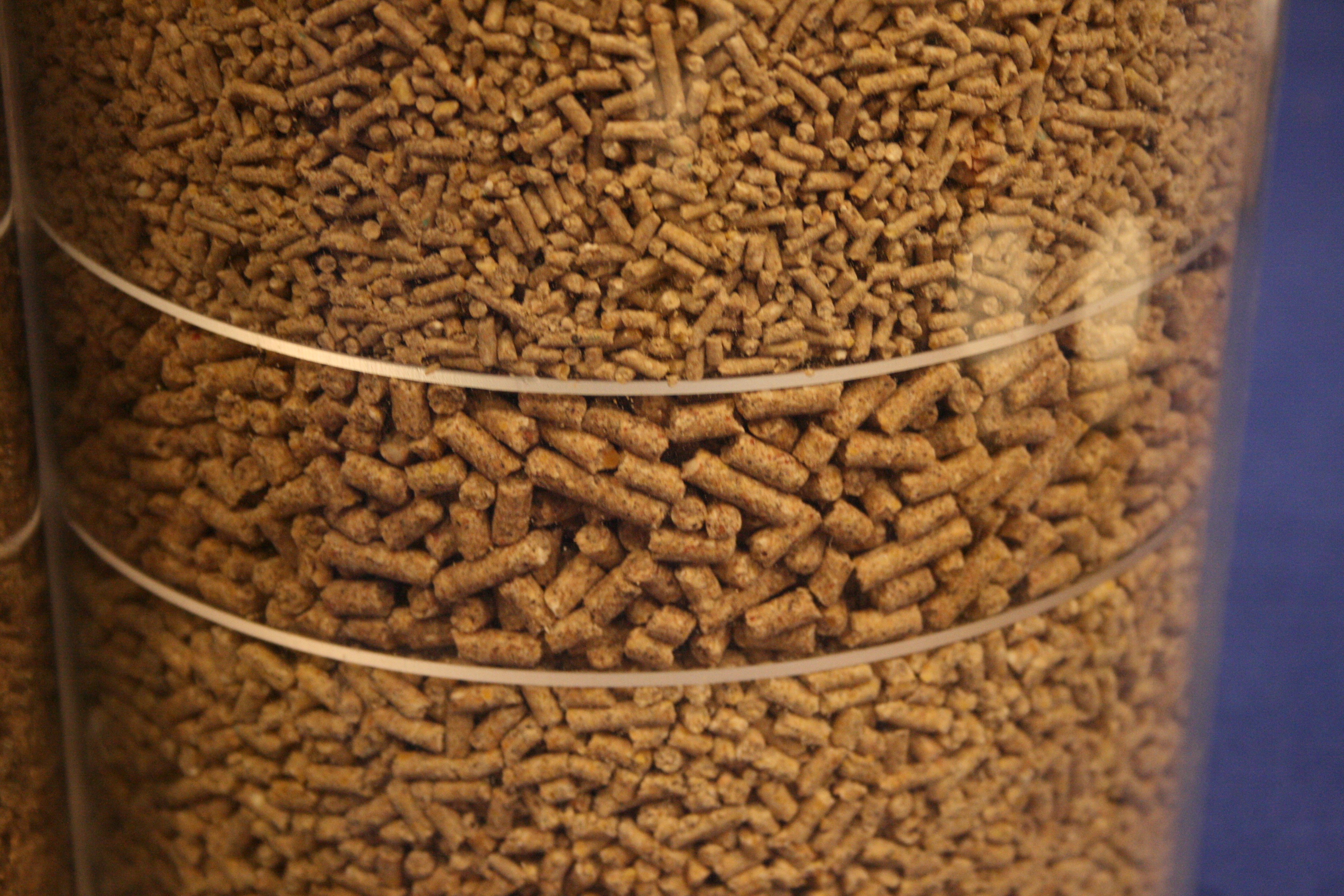 FDA proposes new rules for animal drug labeling – Swine information