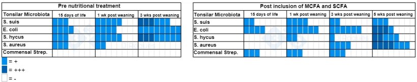 Table 2. Number of positive culture samples before and after incorporating MCFA and SCFA.
