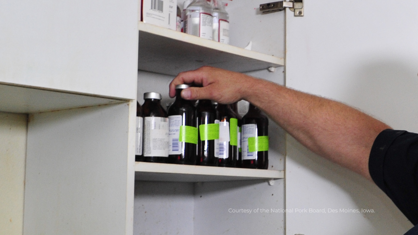 International’s first Very important Veterinary Drugs Listing for meals animals – Swine information