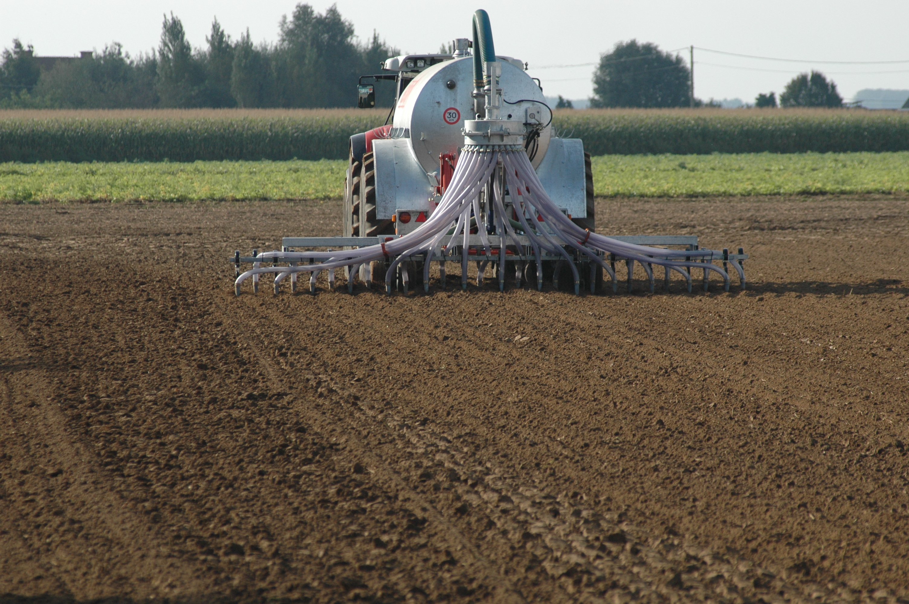 Carbon credit score certification and its function in long run agriculture – Swine information