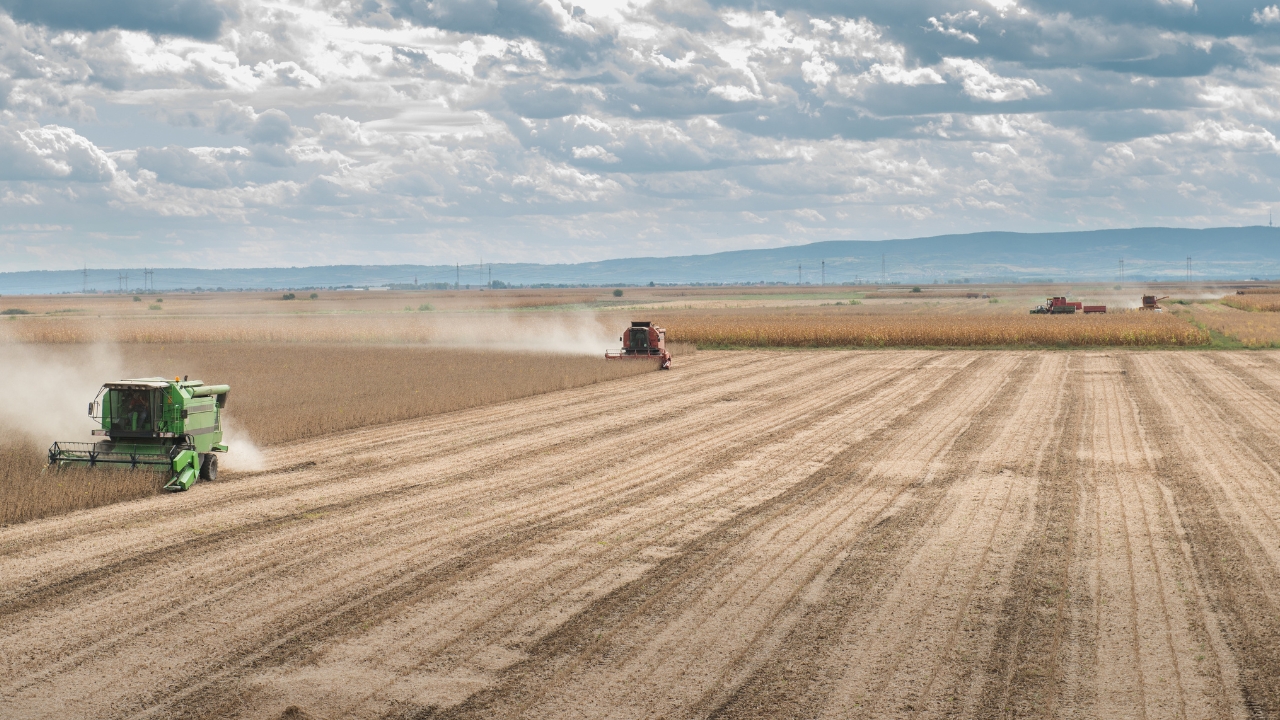 Argentina’s soybean regional steadiness in 2023/24 – Swine information