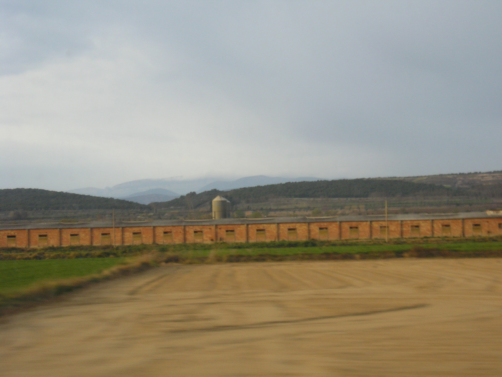 The Netherlands gives €237.65 million in reinforce for younger farmers – Swine information