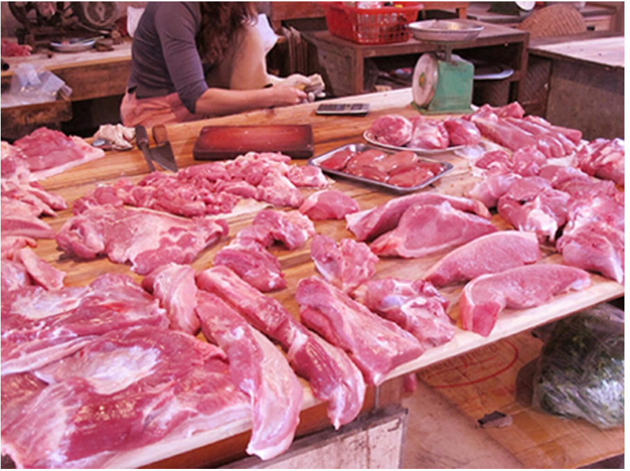 Vietnam’s enter prices and hog worth traits in Q1 2024 – Swine information