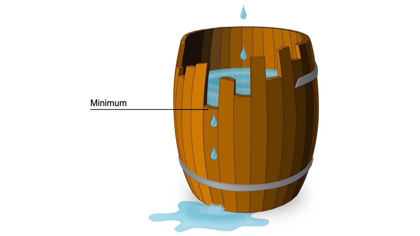 <p>Figure 1. Graphical example of the meaning of a limiting amino acid based on Liebig's law. The protein is the barrel and the amino acids are the individual staves that make up the barrel. The capacity of the barrel is limited by the shortest stave just as the growth of the pig is limited by the least available amino acid.</p>
