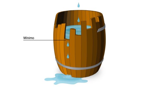 Figure 1. Graphical example of the meaning of a limiting amino acid based on Liebig's law. The protein is the barrel and the amino acids are the individual staves that make up the barrel. The capacity of the barrel is limited by the shortest stave just as the growth of the pig is limited by the least available amino acid.
