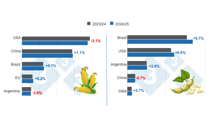 USDA: Dự báo niên vụ 2024/2025 sản lượng ngô thế giới giảm, đậu tương tăng 