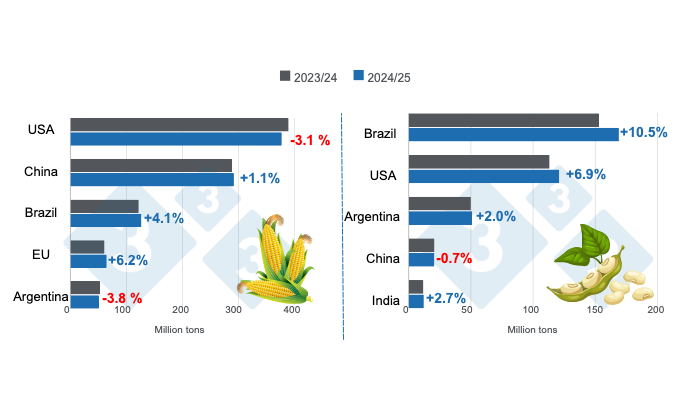Crop projection for the main world corn and soybean producers - 2024/25 season versus 2023/24 season. Prepared by 333 Latin America with data from FAS - USDA.