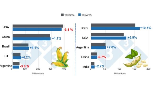 Crop projection for the main world corn and soybean producers - 2024/25 season versus 2023/24 season. Prepared by 333 Latin America with data from FAS - USDA.