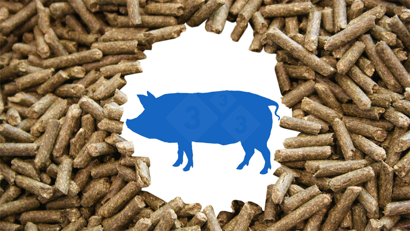 How can nutrition help pigs facing health challenges? Articles