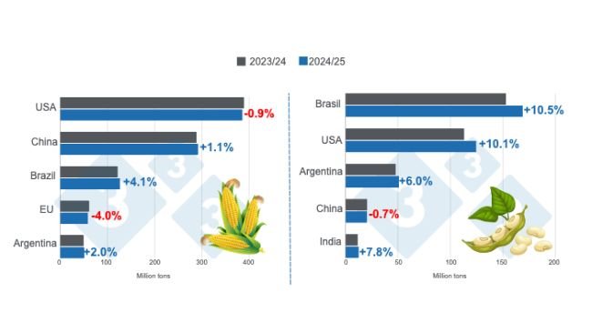 Crop projections for the main world corn and soybean producers - 2024/25 season versus 2023/24 season - last update: October 11, 2024. Prepared by the 333 Latin America with data from FAS - USDA.