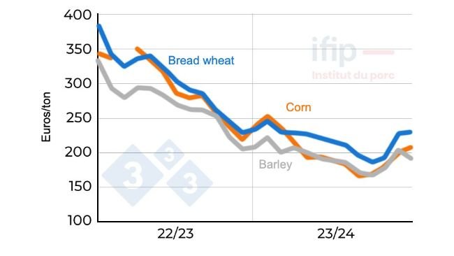 Wheat and corn prices in France. At origin Eure-et-Loir; Source: Ifip according to La Dépêche.