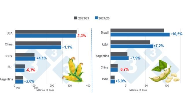 Chart 1. Harvest projection for the main global corn and soybean producers - 2024/25 campaign versus 2023/24 cycle - last update: December 10, 2024. Prepared by the Department of Economics and Market Intelligence with data from FAS - USDA.
