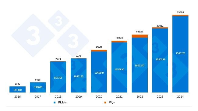 Annual Spanish imports of piglets and Dutch pigs. Source: 333 based on RVO data.
