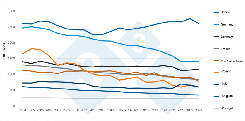 Evolution of the number of sows in the main EU producing countries (2004-2024). Source: 333 based on Eurostat data.