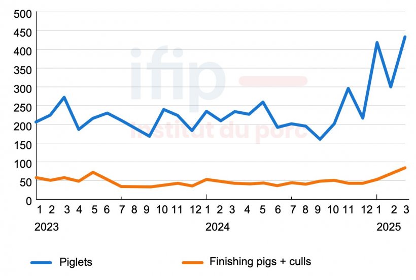 Spanish monthly imports of live pigs (thousand head). Source: IFIP based on Eurostat data (customs).
