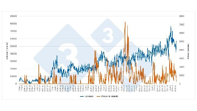 Weekly evolution of Spanish imports of piglets and fattening pigs from the Netherlands (January 2016 - June 2025). Source: Draft 333 based on RVO data.