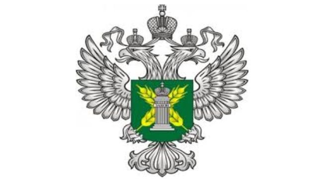 Экспорт мясных продуктов